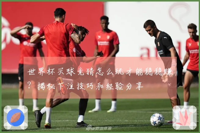 世界杯买球竞猜怎么玩才能稳稳赚？揭秘下注技巧和经验分享