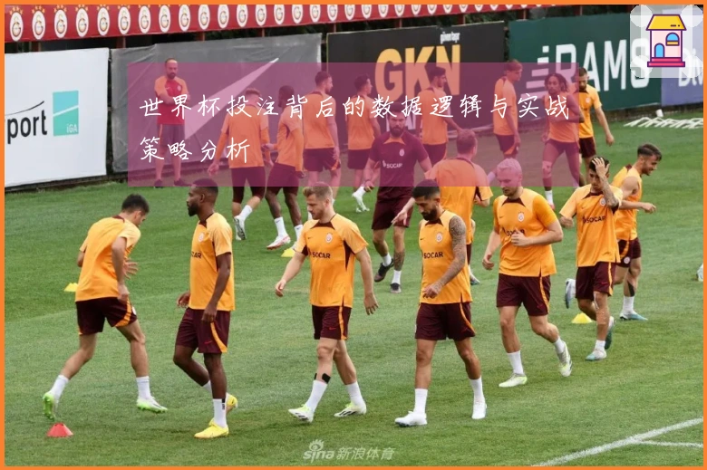 世界杯投注背后的数据逻辑与实战策略分析